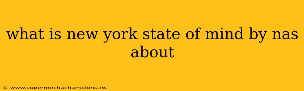 what is new york state of mind by nas about