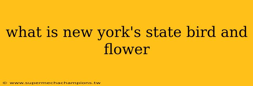 what is new york's state bird and flower