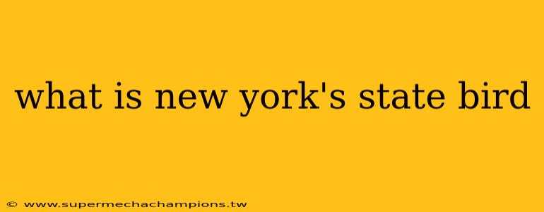 what is new york's state bird