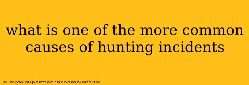 what is one of the more common causes of hunting incidents