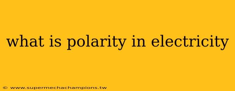 what is polarity in electricity