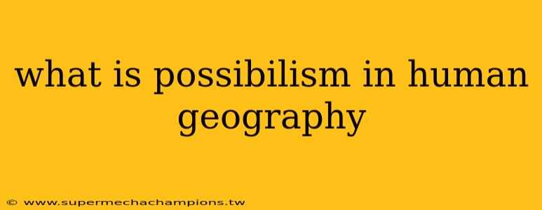 what is possibilism in human geography