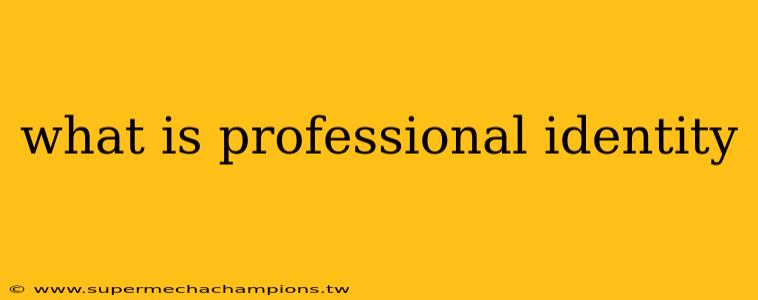 what is professional identity