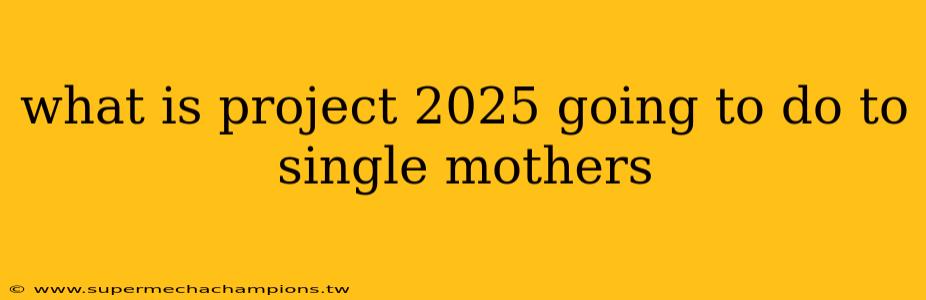 what is project 2025 going to do to single mothers