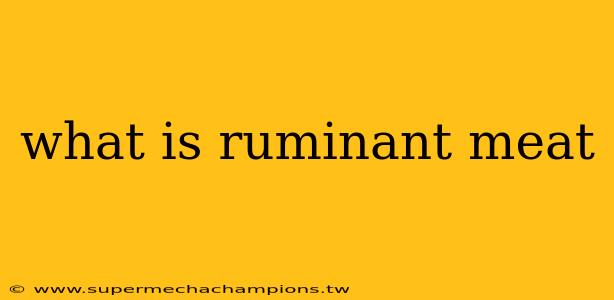 what is ruminant meat