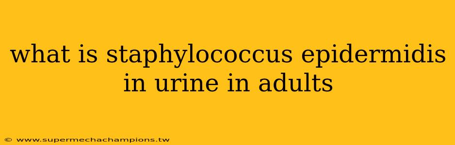 what is staphylococcus epidermidis in urine in adults