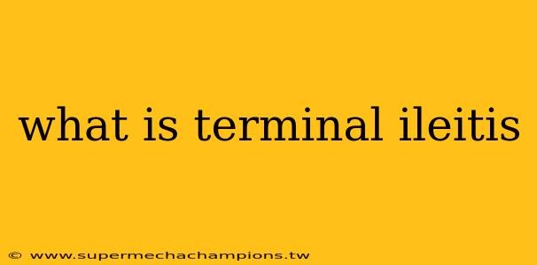 what is terminal ileitis