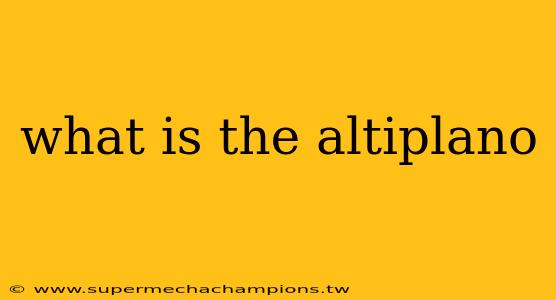 what is the altiplano
