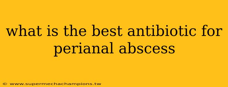 what is the best antibiotic for perianal abscess