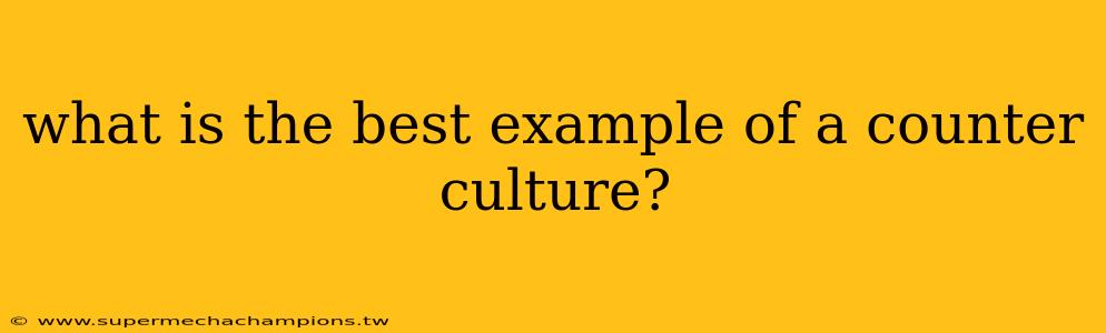 what is the best example of a counter culture?