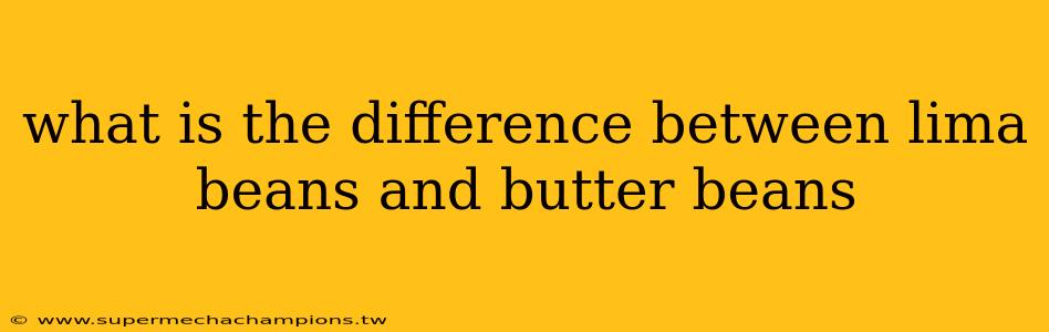 what is the difference between lima beans and butter beans