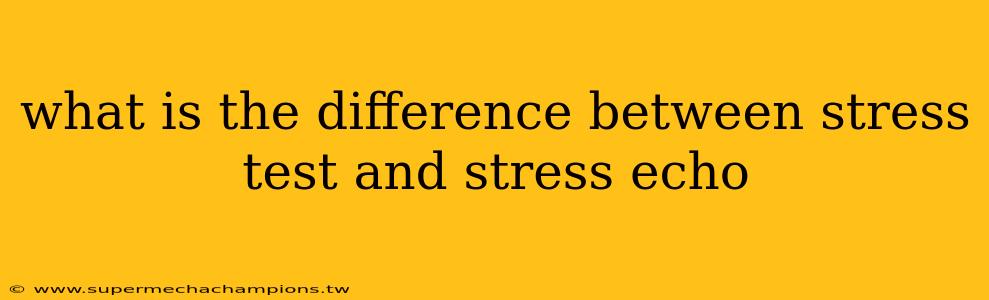 what is the difference between stress test and stress echo
