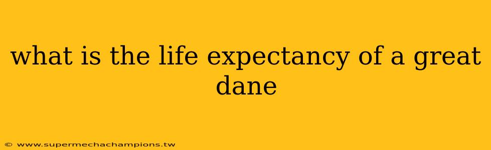 what is the life expectancy of a great dane