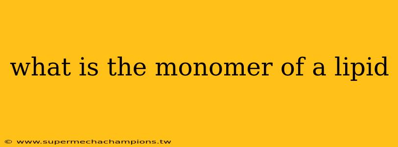 what is the monomer of a lipid