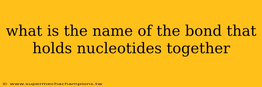 what is the name of the bond that holds nucleotides together