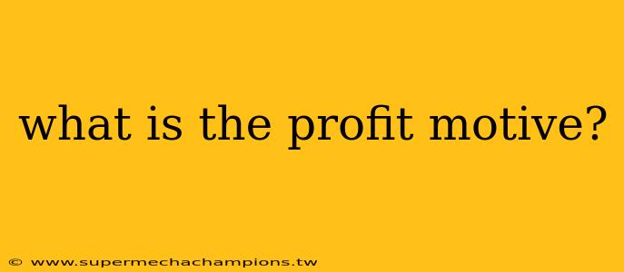 what is the profit motive?