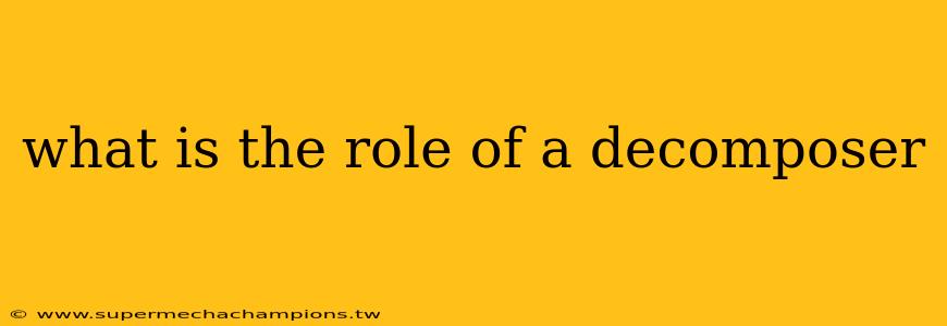 what is the role of a decomposer