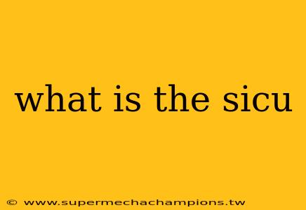 what is the sicu