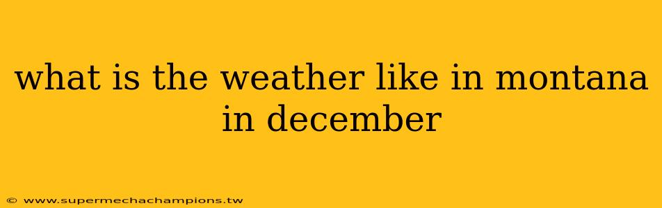 what is the weather like in montana in december