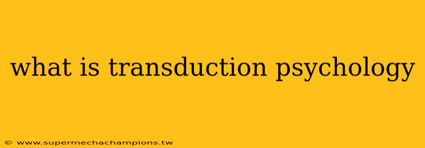 what is transduction psychology