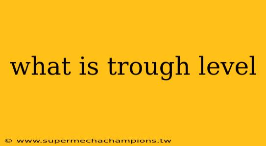 what is trough level