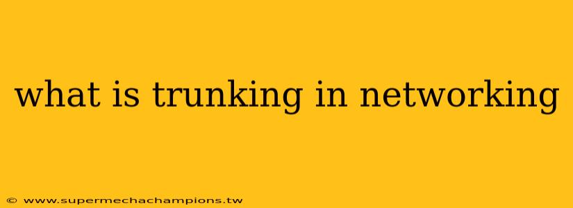 what is trunking in networking