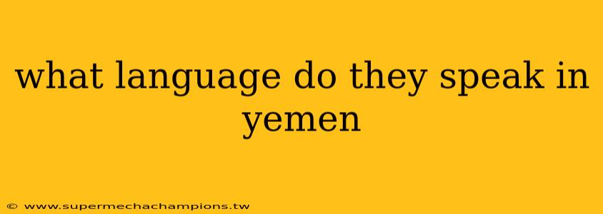 what language do they speak in yemen