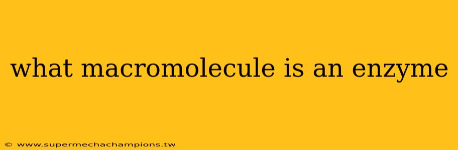 what macromolecule is an enzyme