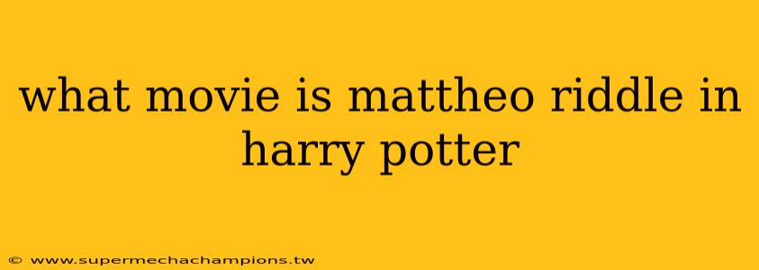 what movie is mattheo riddle in harry potter