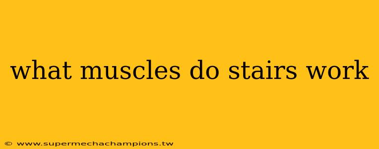 what muscles do stairs work