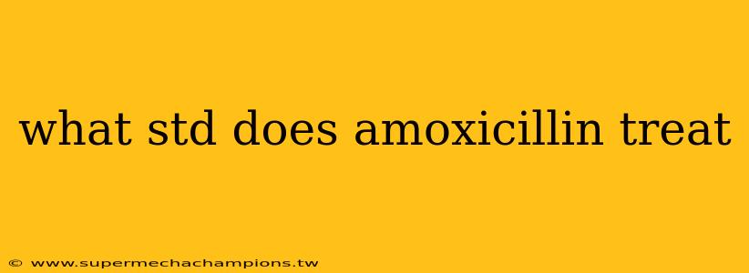 what std does amoxicillin treat