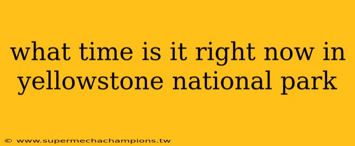 what time is it right now in yellowstone national park