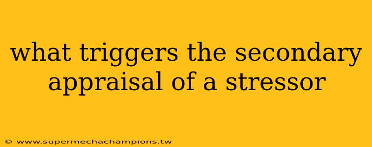 what triggers the secondary appraisal of a stressor
