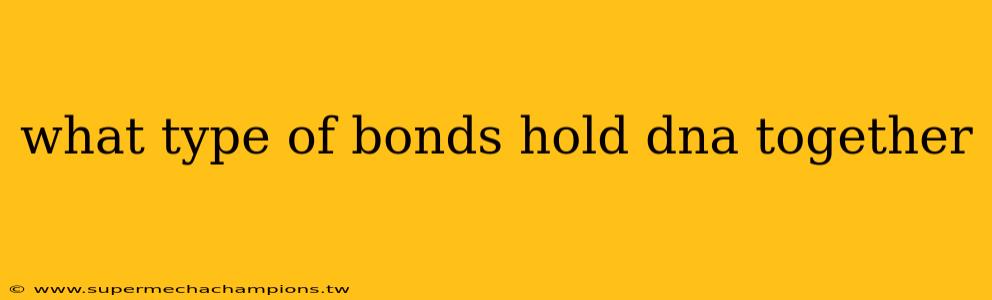 what type of bonds hold dna together