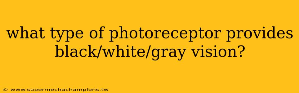 what type of photoreceptor provides black/white/gray vision?