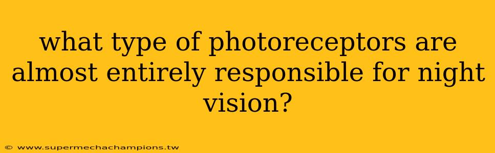 what type of photoreceptors are almost entirely responsible for night vision?