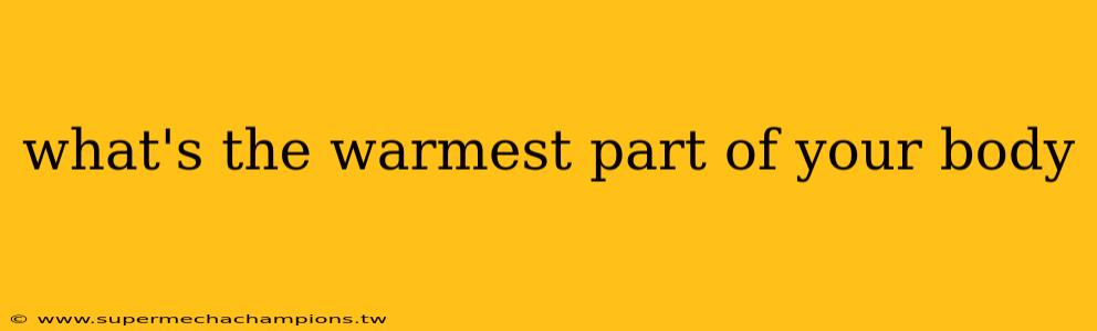what's the warmest part of your body