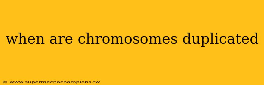 when are chromosomes duplicated