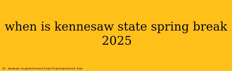 when is kennesaw state spring break 2025