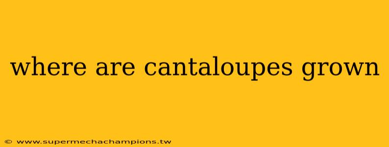where are cantaloupes grown