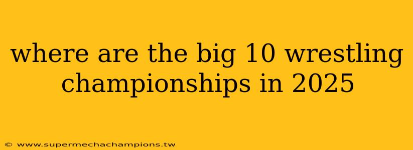 where are the big 10 wrestling championships in 2025