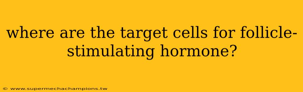 where are the target cells for follicle-stimulating hormone?