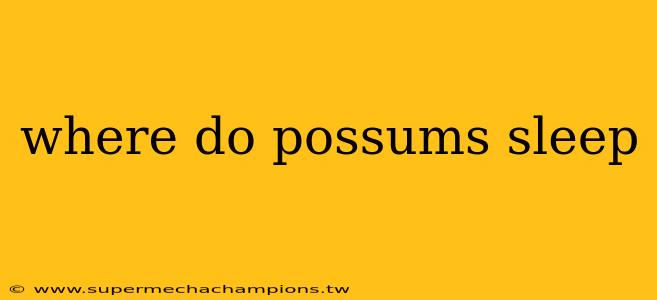where do possums sleep