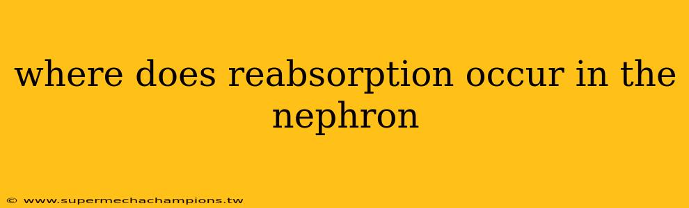 where does reabsorption occur in the nephron