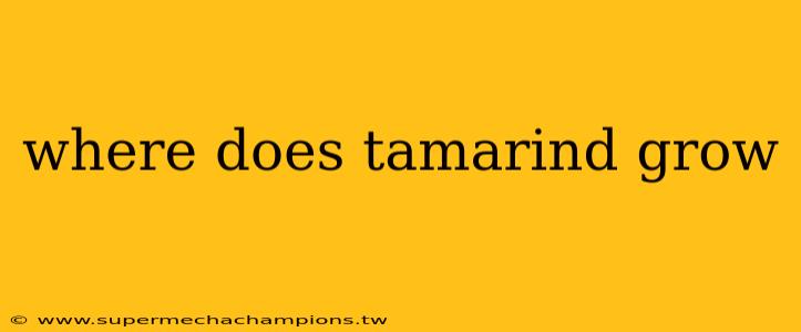 where does tamarind grow