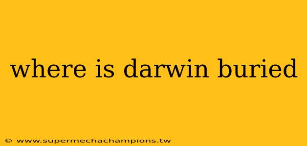 where is darwin buried