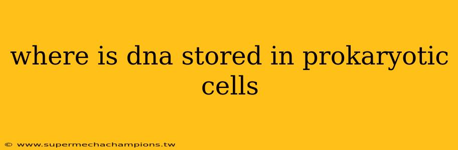 where is dna stored in prokaryotic cells