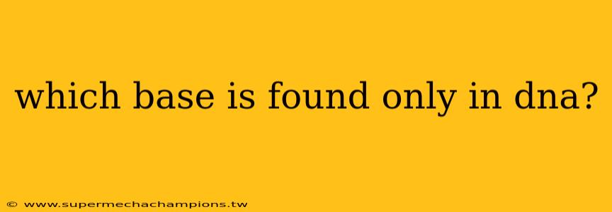which base is found only in dna?