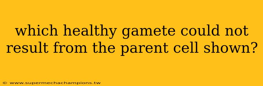which healthy gamete could not result from the parent cell shown?