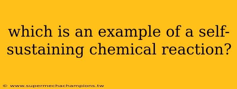 which is an example of a self-sustaining chemical reaction?